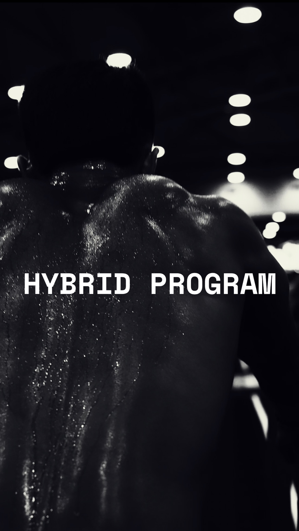 Hybrid Training Program